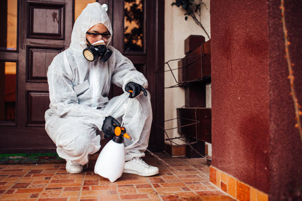 Reliable Bed Bug Control contractor in Sumrall, MS by Nex Pest Control